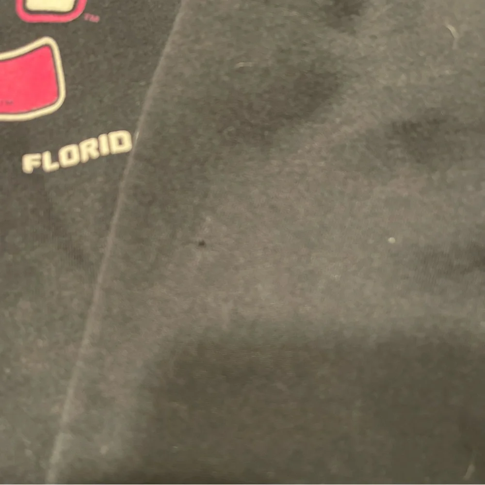 USF Hoodie Russel Athletic - Picture 11 of 14